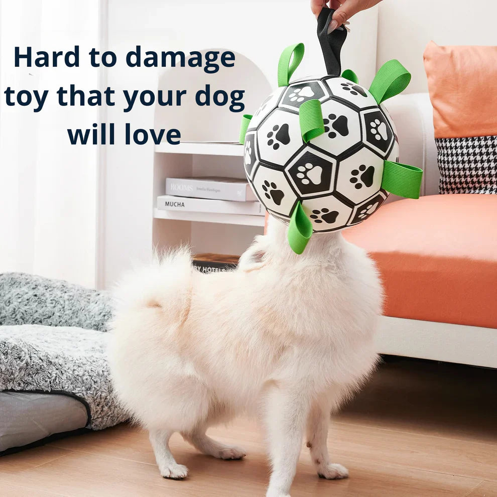 Finessor Viral Doggie Ball