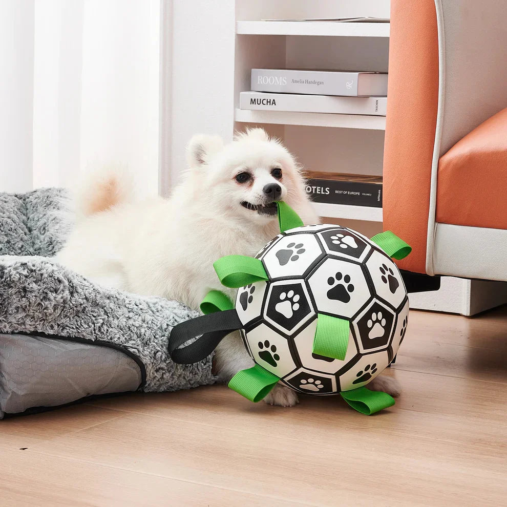 Finessor Viral Doggie Ball
