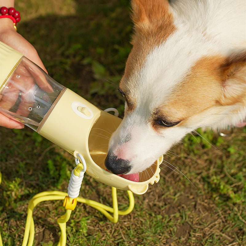 2-in-1 Feeder Bottle