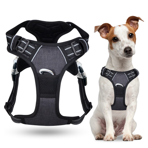 PawSafe® No Pull Dog Harness