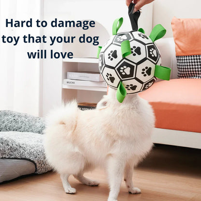 Finessor Viral Doggie Ball