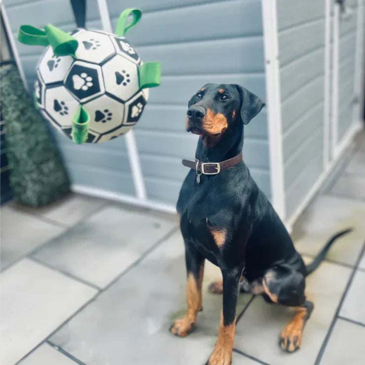 Finessor Viral Doggie Ball