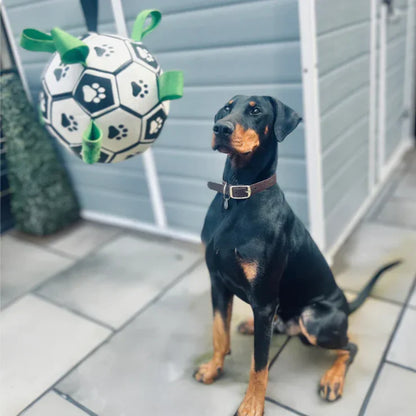 Finessor Viral Doggie Ball